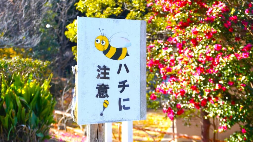 蜂に刺されないための予防策