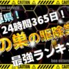 兵庫 蜂の巣の駆除業者ランキング