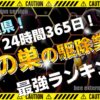 千葉 蜂の巣の駆除業者ランキング