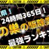 埼玉 蜂の巣の駆除業者ランキング