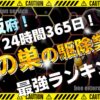 大阪 蜂の巣の駆除業者ランキング