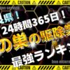 奈良 蜂の巣の駆除業者ランキング