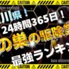 神奈川 蜂の巣の駆除業者ランキング