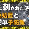 蜂に刺された時の応急処置と予防策