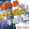 蜂の巣を自分で駆除する方法