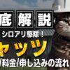 ねずみ シロアリ 駆除 キャッツ 評判