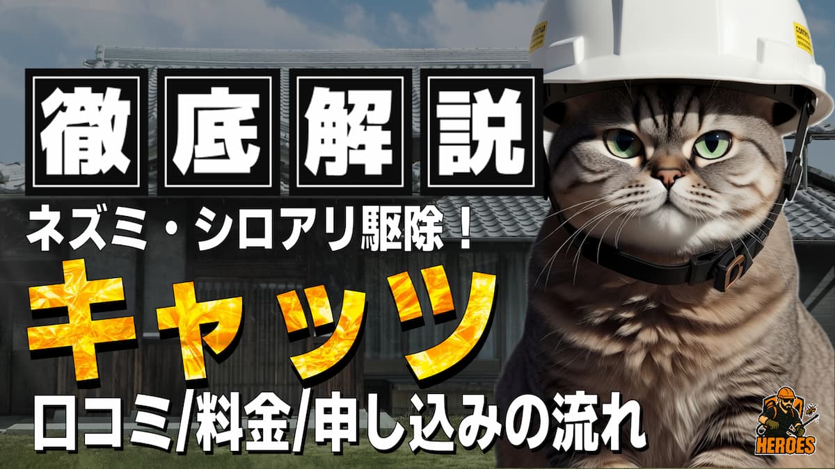 ねずみ シロアリ 駆除 キャッツ 評判