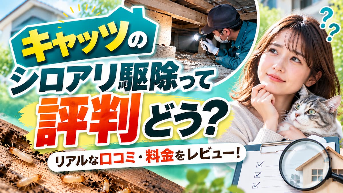 キャッツ 評判